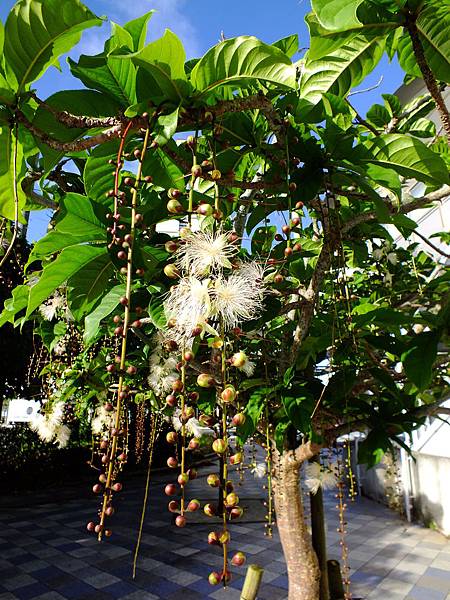 DSCF3814.JPG DSCF3814.JPG