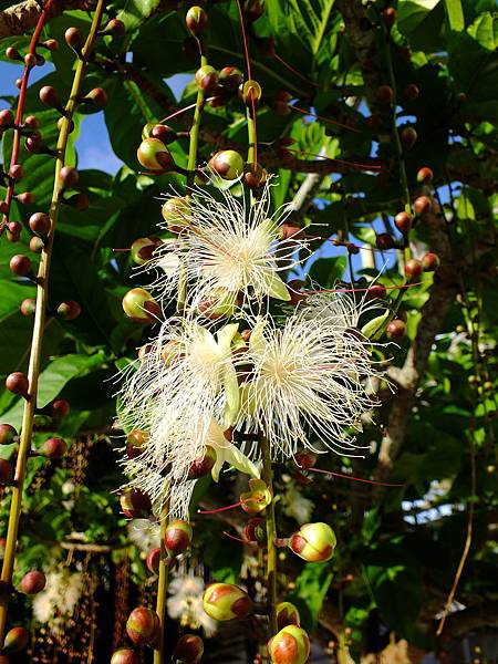 DSCF3815.JPG DSCF3815.JPG