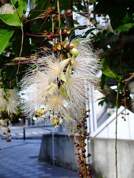 DSCF3817.JPG DSCF3817.JPG