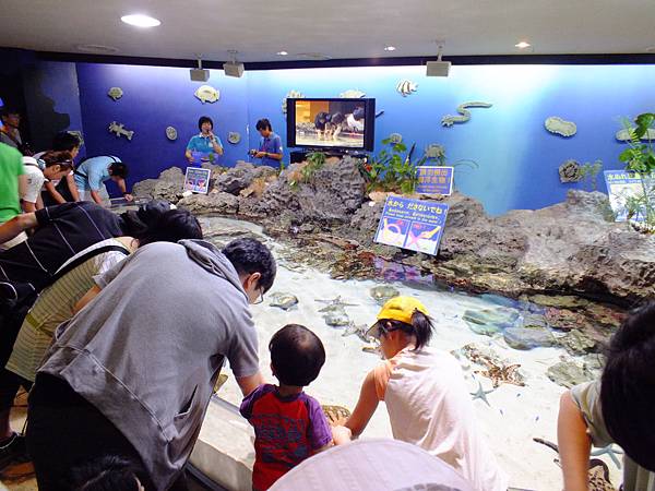 DSCF3856.JPG DSCF3856.JPG