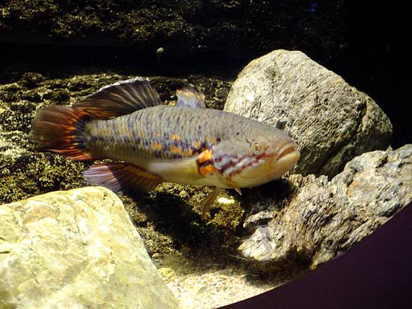 DSCF3861.JPG DSCF3861.JPG