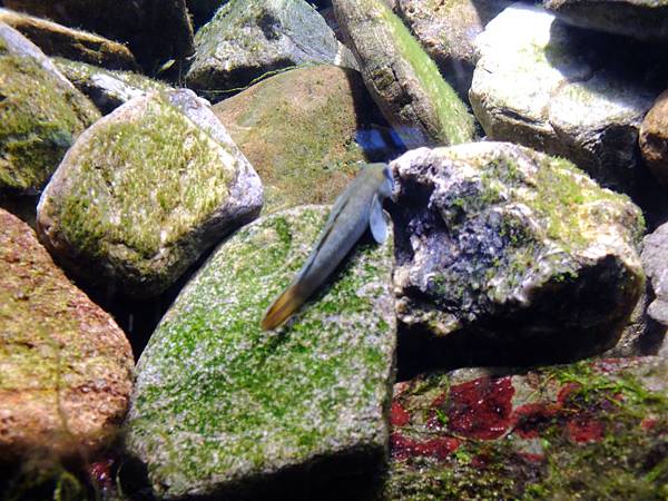 DSCF3862.JPG DSCF3862.JPG