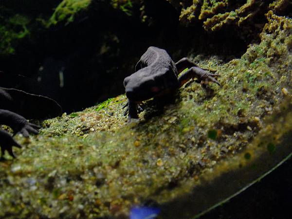 DSCF3868.JPG DSCF3868.JPG