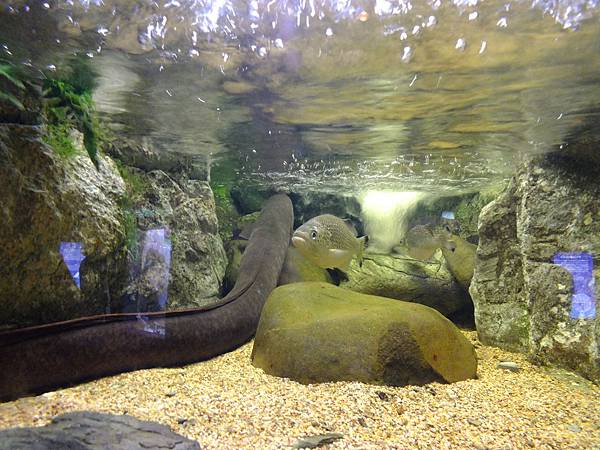 DSCF3873.JPG DSCF3873.JPG