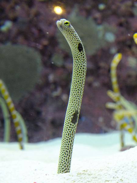 DSCF3879.JPG DSCF3879.JPG