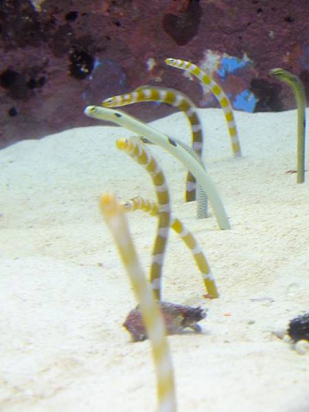 DSCF3880.JPG DSCF3880.JPG