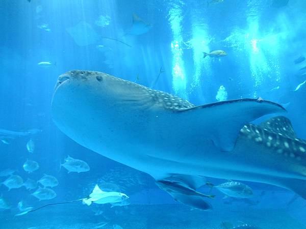 DSCF3901.JPG DSCF3901.JPG