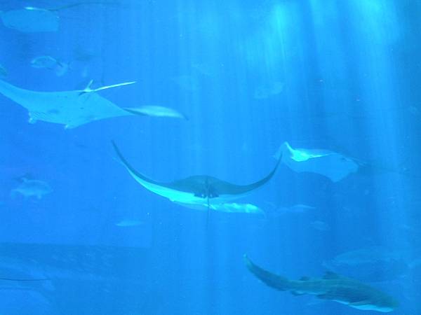 DSCF3894.JPG DSCF3894.JPG