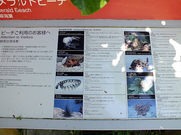 DSCF3952.JPG DSCF3952.JPG