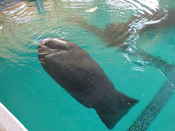 DSCF3953.JPG DSCF3953.JPG