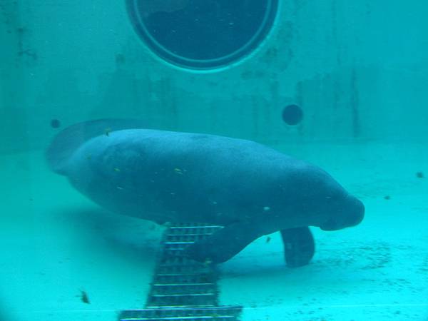 DSCF3958.JPG DSCF3958.JPG