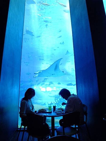 DSCF3977.JPG DSCF3977.JPG