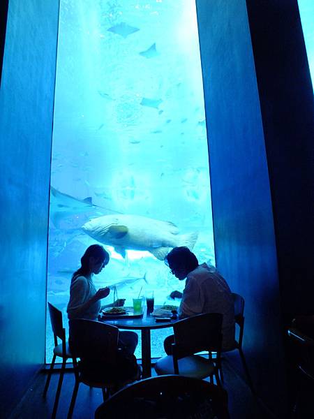 DSCF3980.JPG DSCF3980.JPG