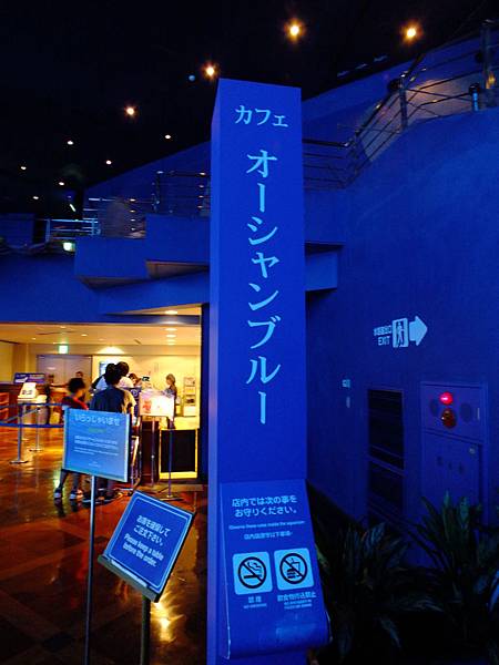 DSCF3981.JPG DSCF3981.JPG