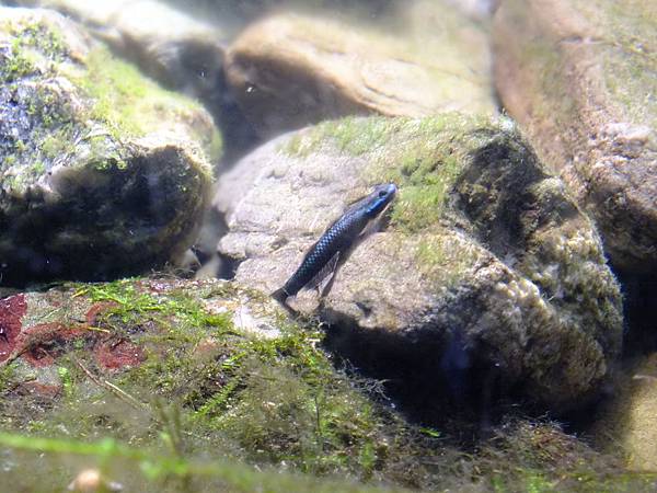 DSCF4006.JPG DSCF4006.JPG