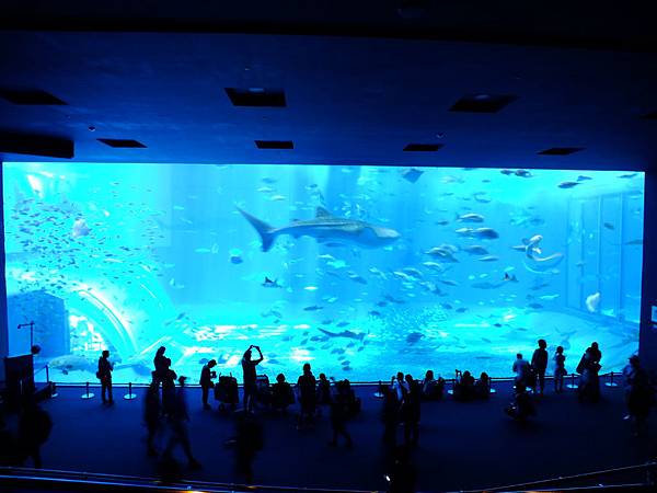 DSCF3999.JPG DSCF3999.JPG