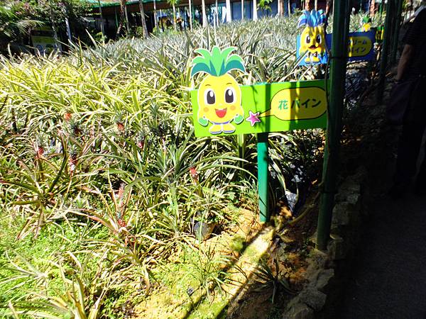 DSCF4029.JPG DSCF4029.JPG