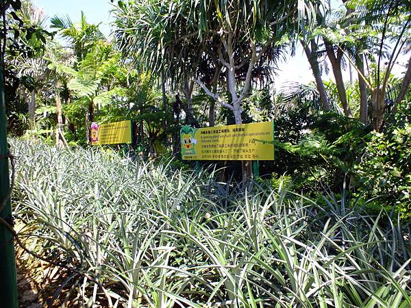 DSCF4030.JPG DSCF4030.JPG