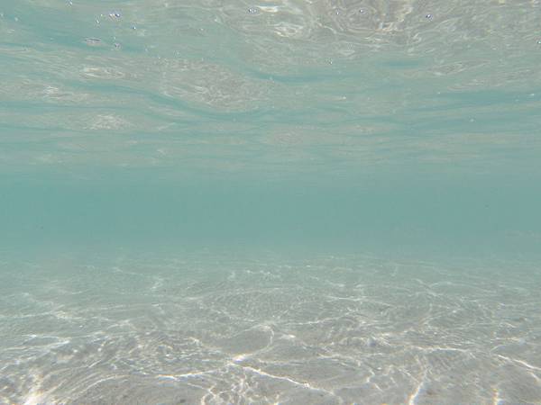 P6240091.JPG P6240091.JPG