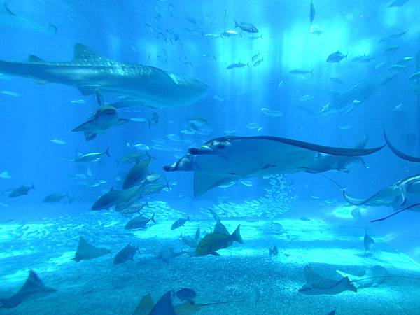 DSCF3990.JPG DSCF3990.JPG