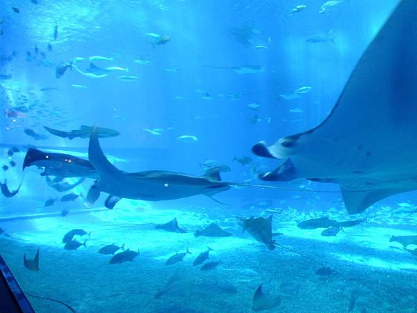 DSCF3991.JPG DSCF3991.JPG