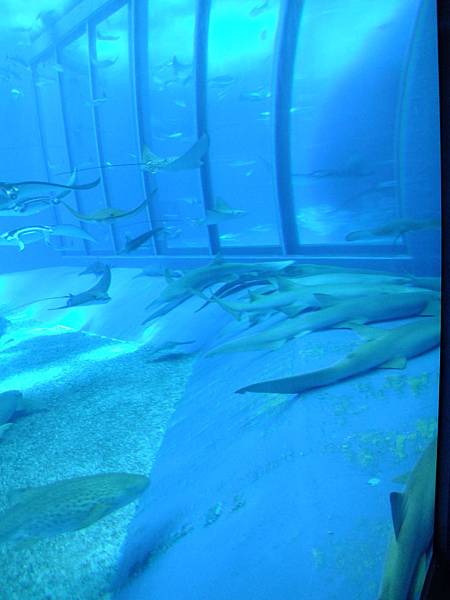 DSCF3989.JPG DSCF3989.JPG