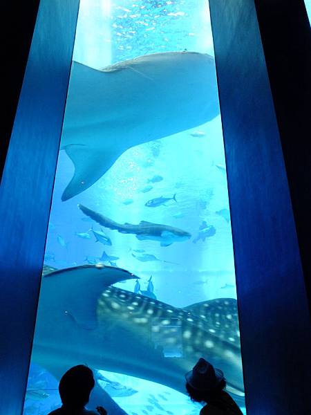 DSCF3968.JPG DSCF3968.JPG