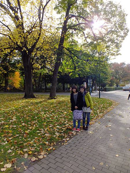 DSCF5284.JPG DSCF5284.JPG