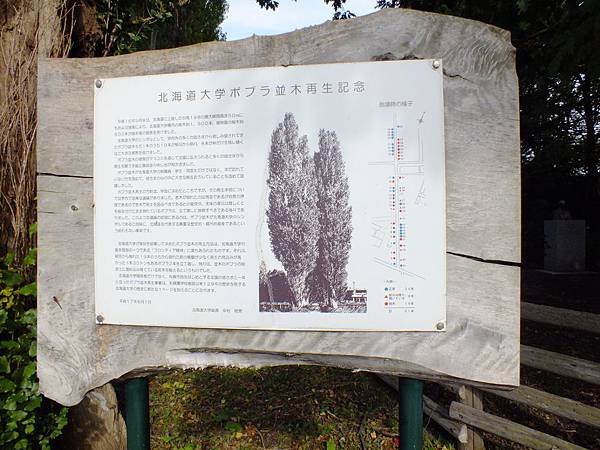 DSCF5296.JPG DSCF5296.JPG