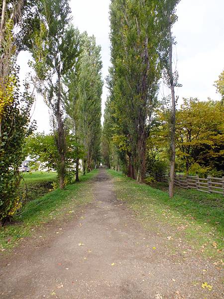 DSCF5297.JPG DSCF5297.JPG