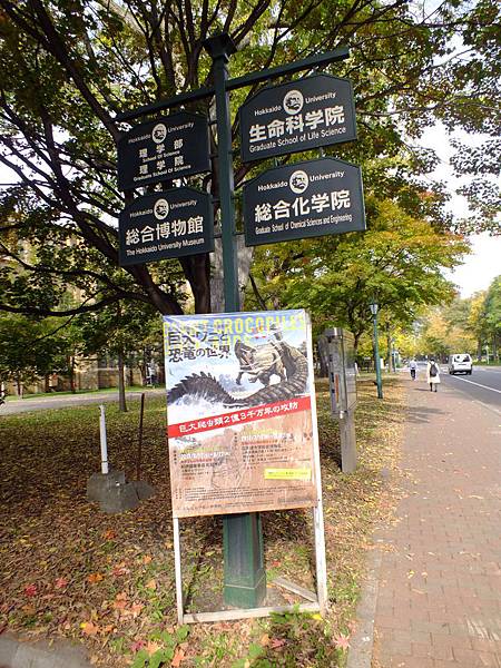 DSCF5291.JPG DSCF5291.JPG