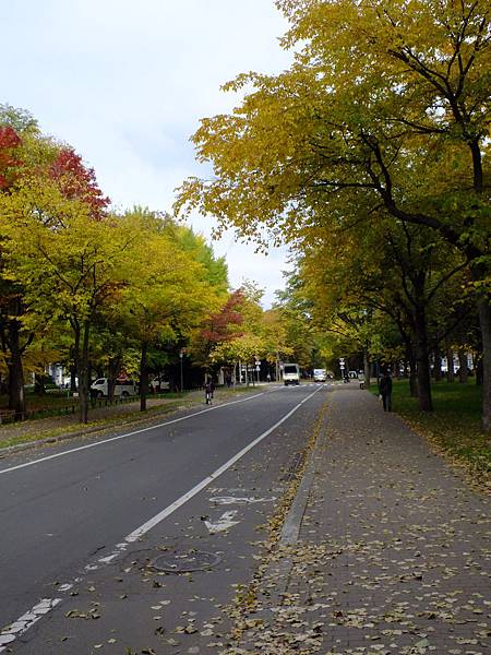 DSCF5304.JPG DSCF5304.JPG