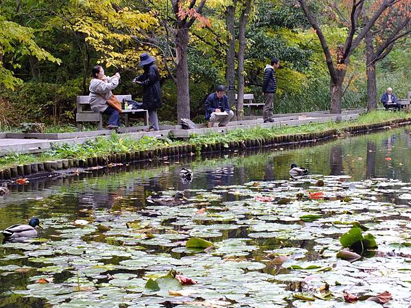 DSCF5325.JPG DSCF5325.JPG