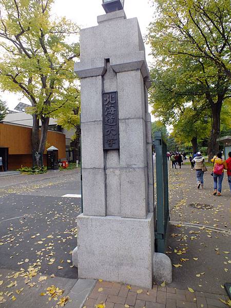 DSCF5339.JPG DSCF5339.JPG