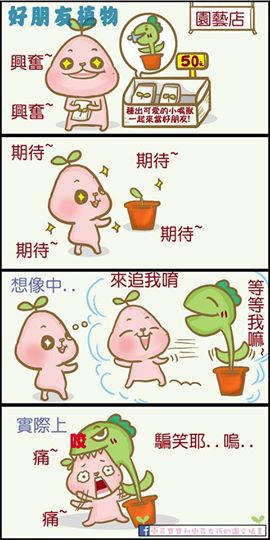植物好朋友 植物好朋友