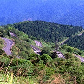 太平山森林遊樂區