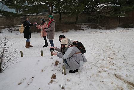 P1050670.JPG P1050670.JPG