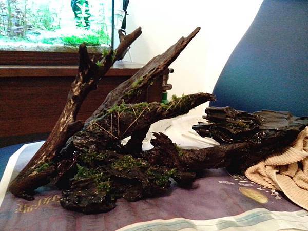 377186_425970847459896_1838490730_n