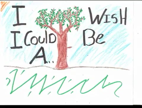 15-TREE HUGGER LYRICS - ANTSY PANTS[(000623)18-16-43].JPG