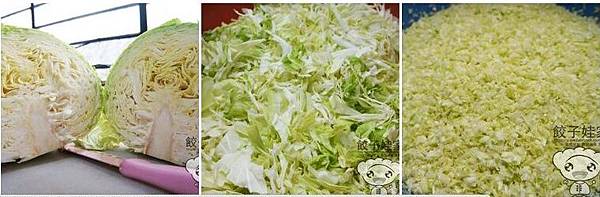 餃子娃-FB 高麗菜