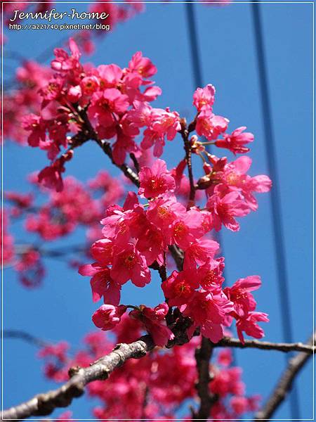 IMG_5010 IMG_5010