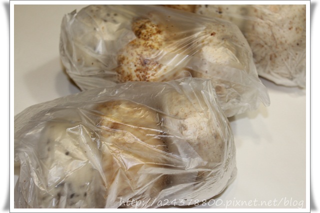 IMG_3790.JPG IMG_3790.JPG