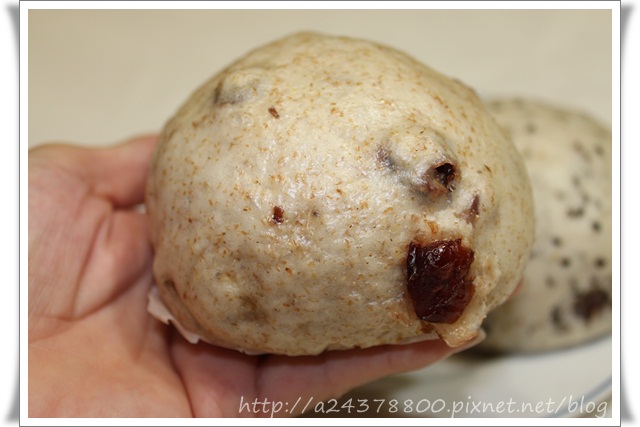 IMG_3797.JPG IMG_3797.JPG