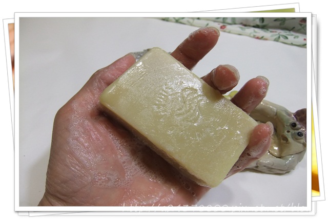 DSCF3976.JPG DSCF3976.JPG