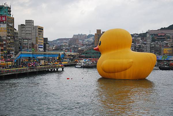 DSC_0619-2 DSC_0619-2