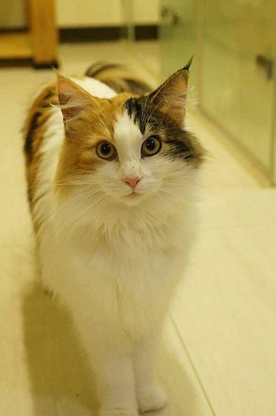 1040771_595246183829504_320686175_o 1040771_595246183829504_320686175_o