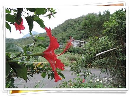 DSCN0205 DSCN0205