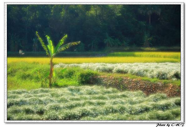 IMG_2747 IMG_2747