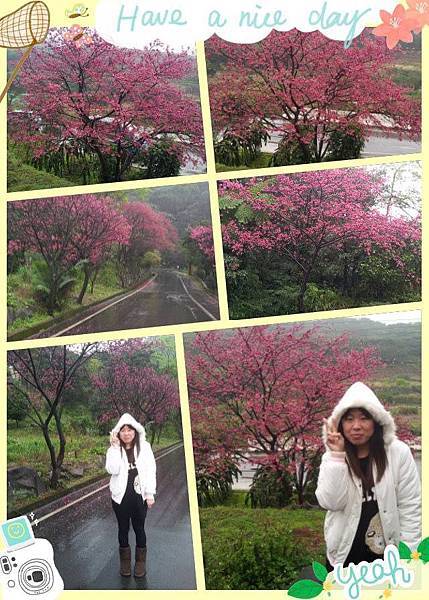 1601054_801487276533567_1509485014_n