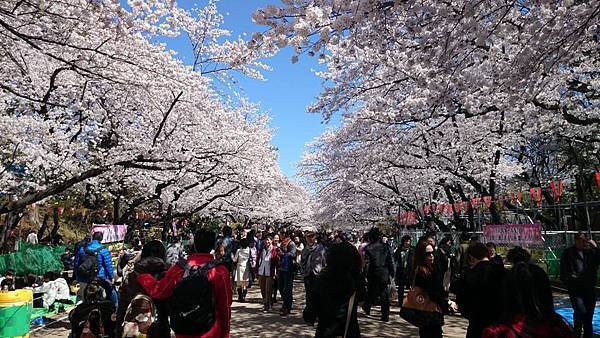 上野公園-8